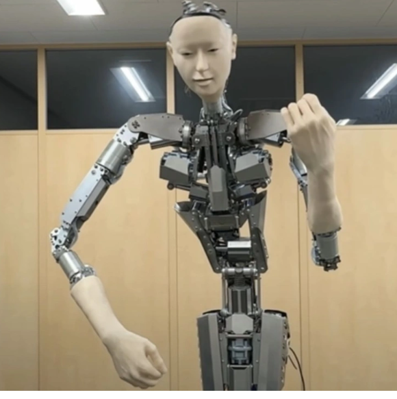 Humanoid Robort by reliance by 2025